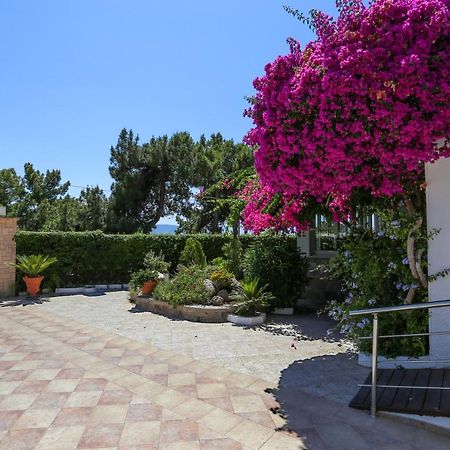 Danae Hotel Aegina Exterior photo